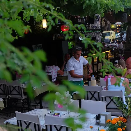 Elvan Icmeler Daily Weekly Marmaris
